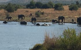 Kwa Maritane Bush Lodge Pilanesberg