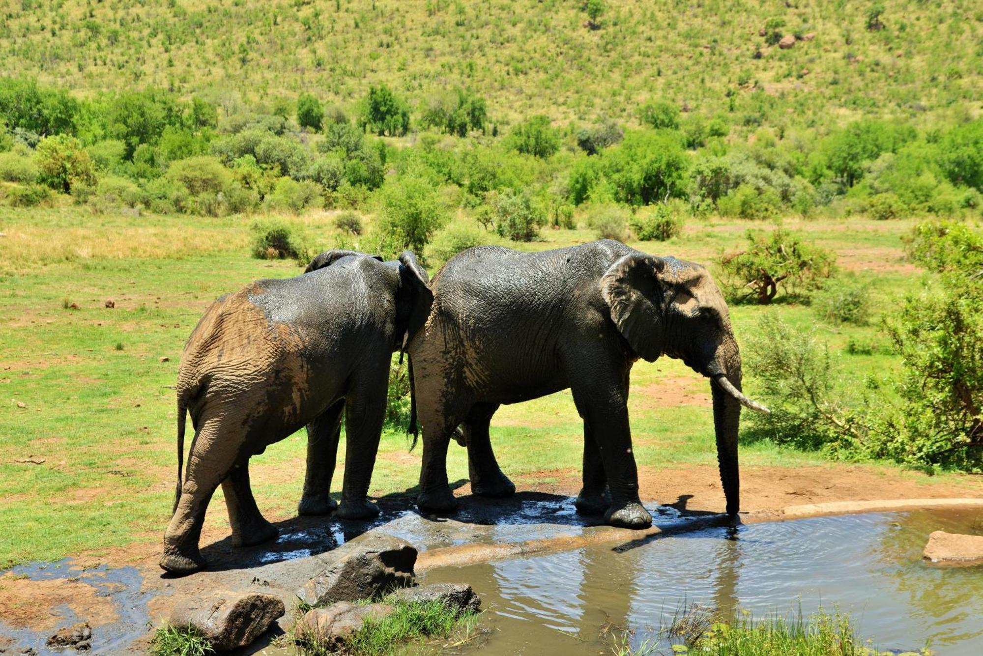 Kwa Maritane Lodge Ledig Exterior photo